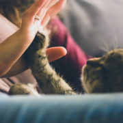 chat femme main C800 atelier comaninale