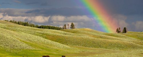 arc en ciel comanimale arc en ciel être nature comanimale