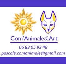 Logo Com'Animale and Art